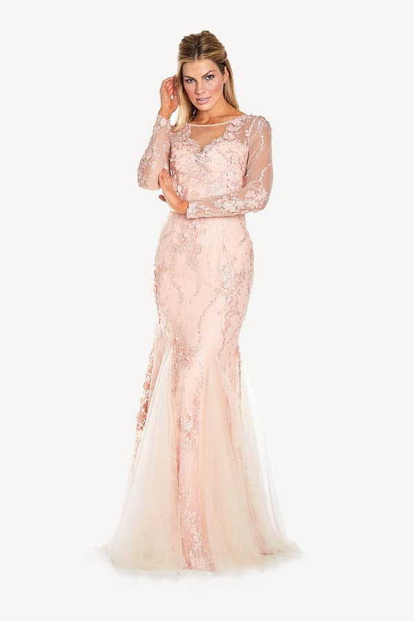 Long Sleeve Lace Embroidered Gown