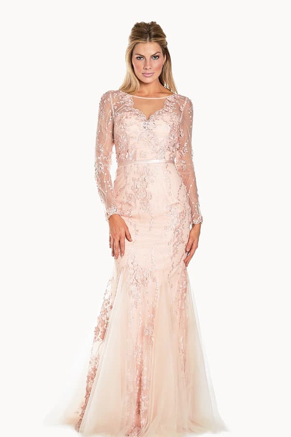 Long Sleeve Lace Embroidered Gown