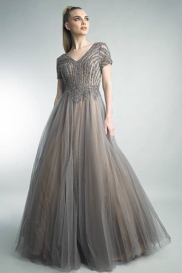 Short-Sleeved Bronze Tulle Gown