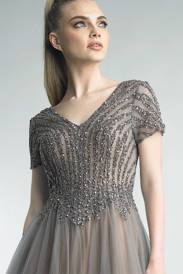 Short-Sleeved Bronze Tulle Gown