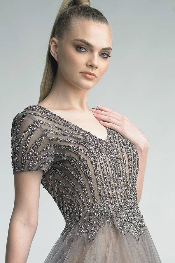 Short-Sleeved Bronze Tulle Gown