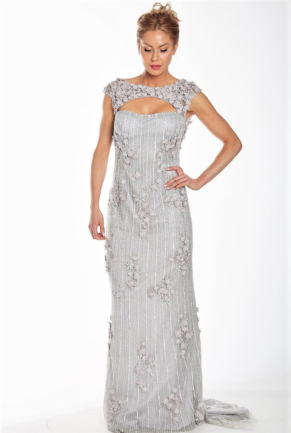 Silver Beaded Embroidered Sweetheart Neck Gown